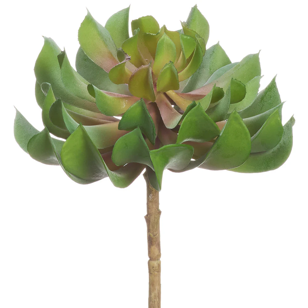 7"Hx5"W Artificial Echeveria Stem Pick -Green/Burgundy (Pack of 12)