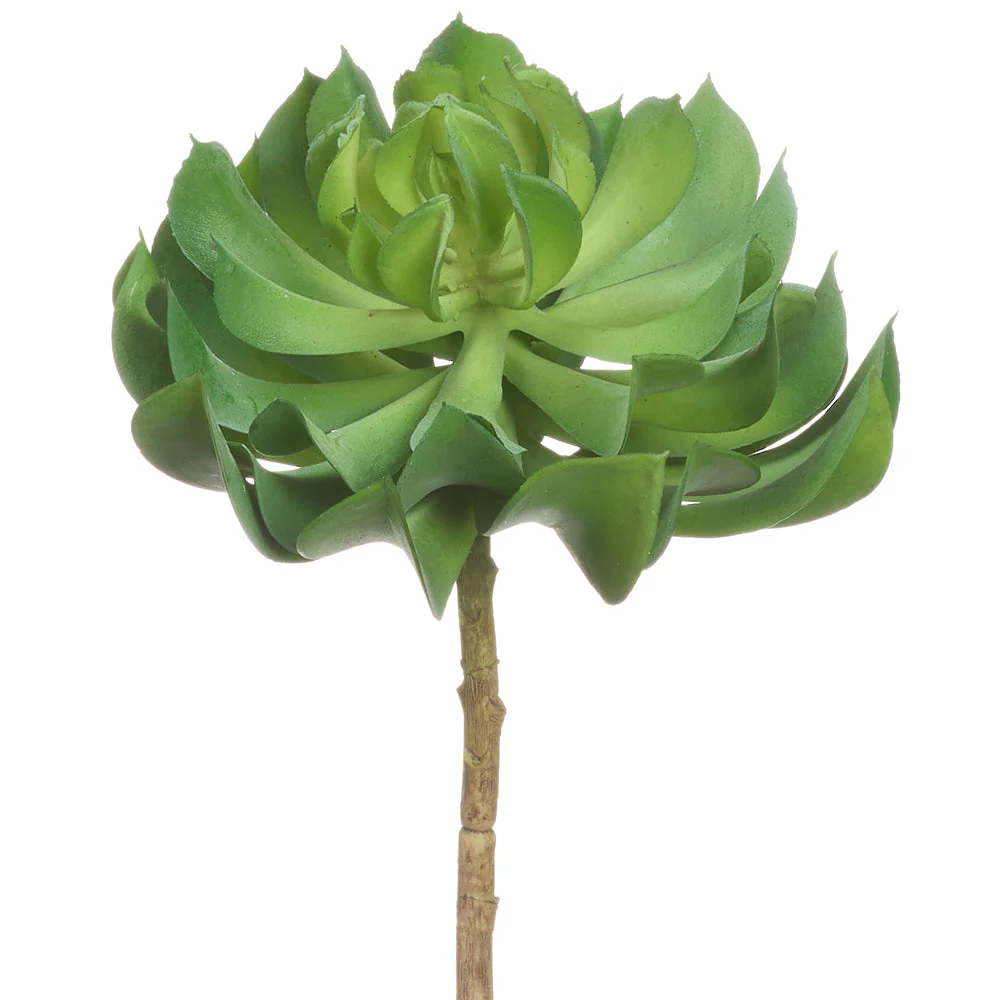 7"Hx5"W Artificial Echeveria Stem Pick -Green (Pack of 12)