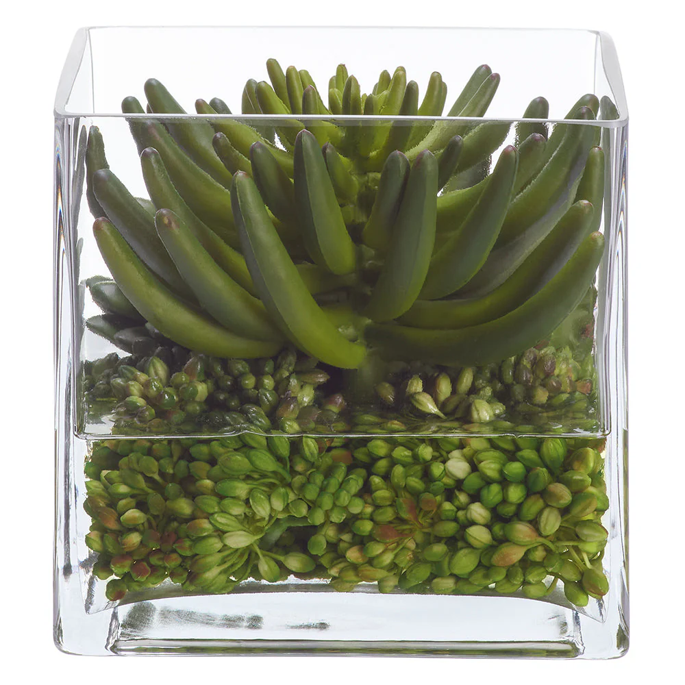 7"Hx7"W Echeveria, Cactus & Sedum Artificial Plant w/Glass Vase -Green