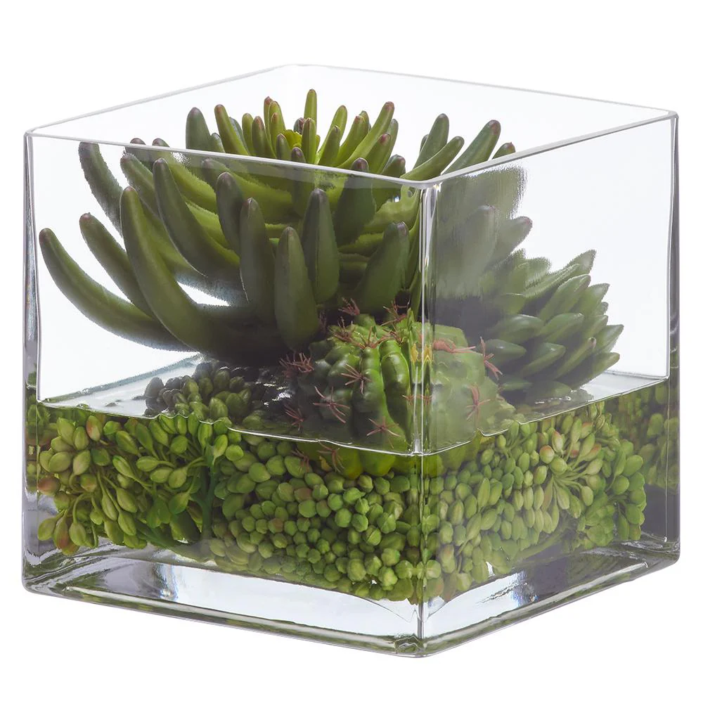 7"Hx7"W Echeveria, Cactus & Sedum Artificial Plant w/Glass Vase -Green - Image 2