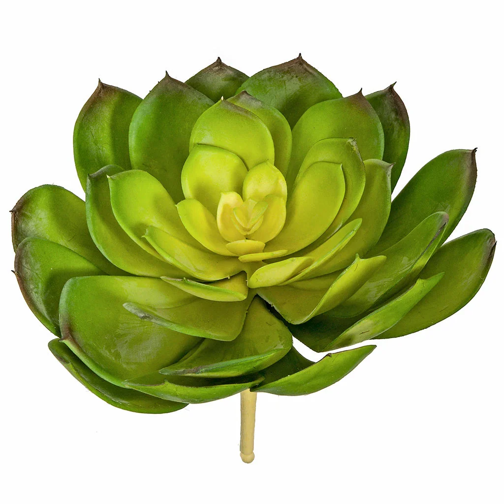 7"HX8"W Artificial Echeveria Stem -Green/Yellow (Pack of 6)