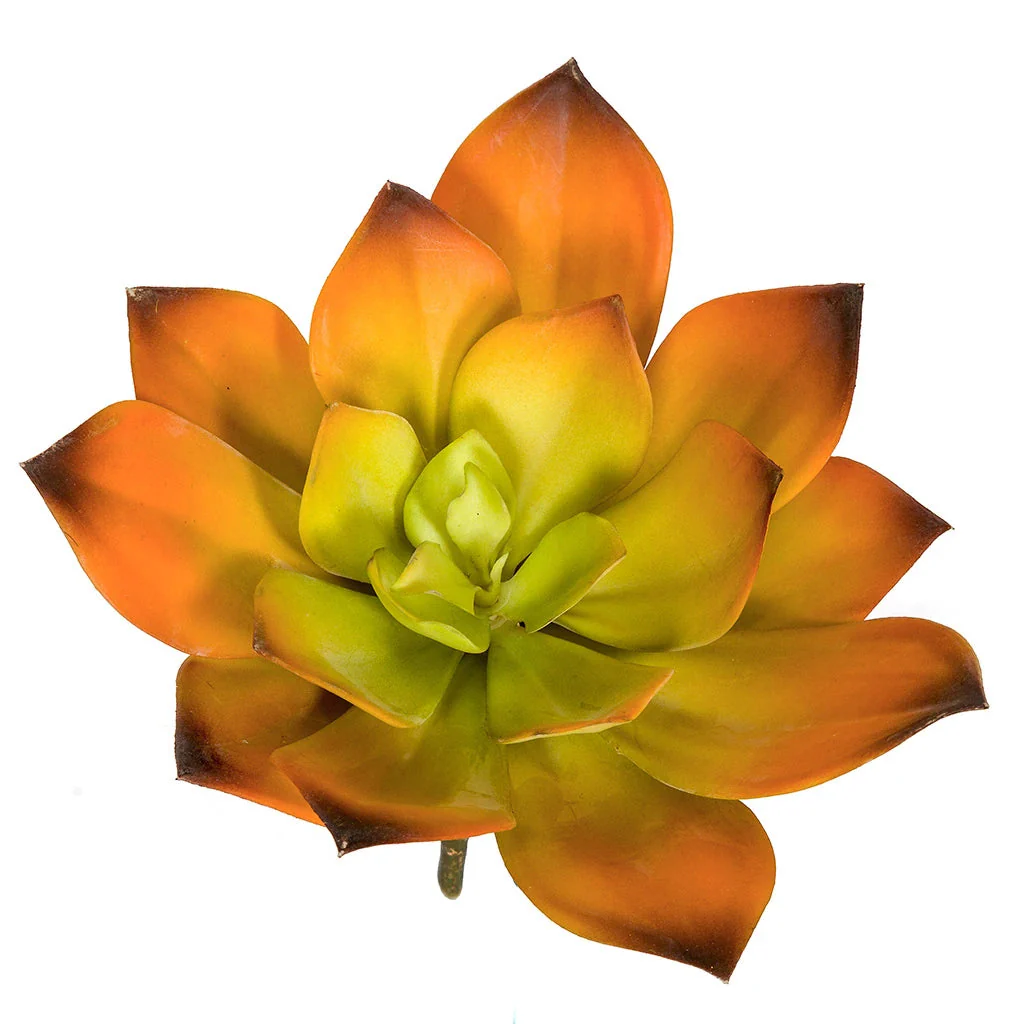 7"HX8"W Artificial Echeveria Stem -Orange/Green (Pack of 6)