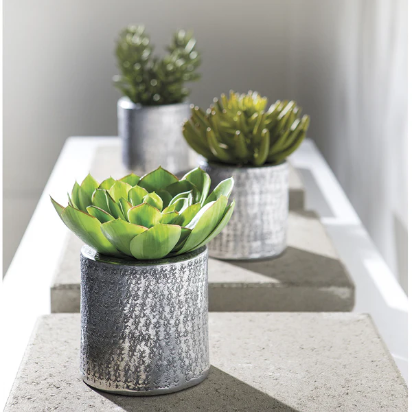 8" Artificial Aeonium Succulent Plant w/Aluminum Pot -Green - Image 2