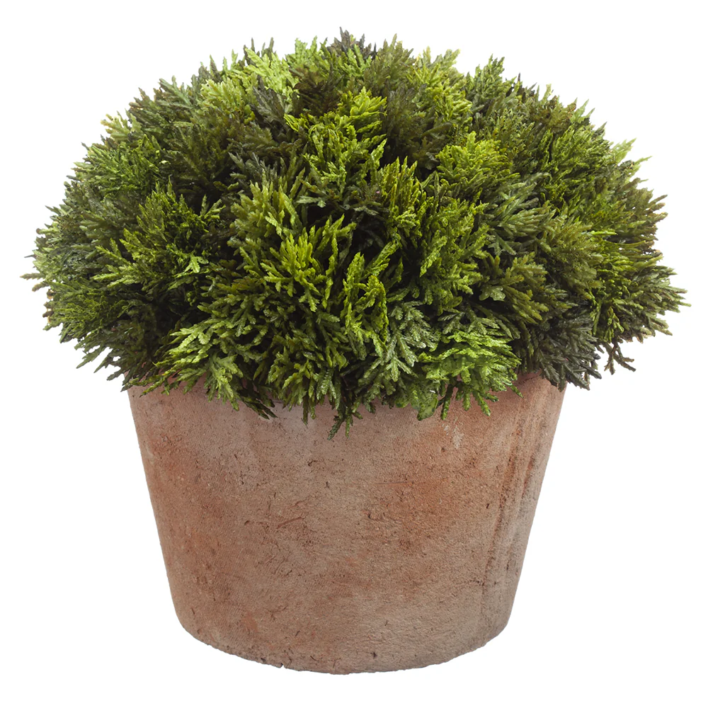 8" Artificial Cypress Plant w/Clay Pot -Green (Pack of 4)