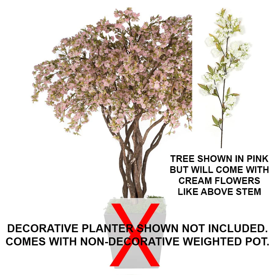 8' Cherry Blossom Silk Tree w/Pot -Cream/White