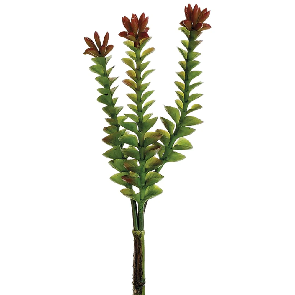 8" Crassula Artificial Stem Pick -Green/Burgundy (Pack of 24)