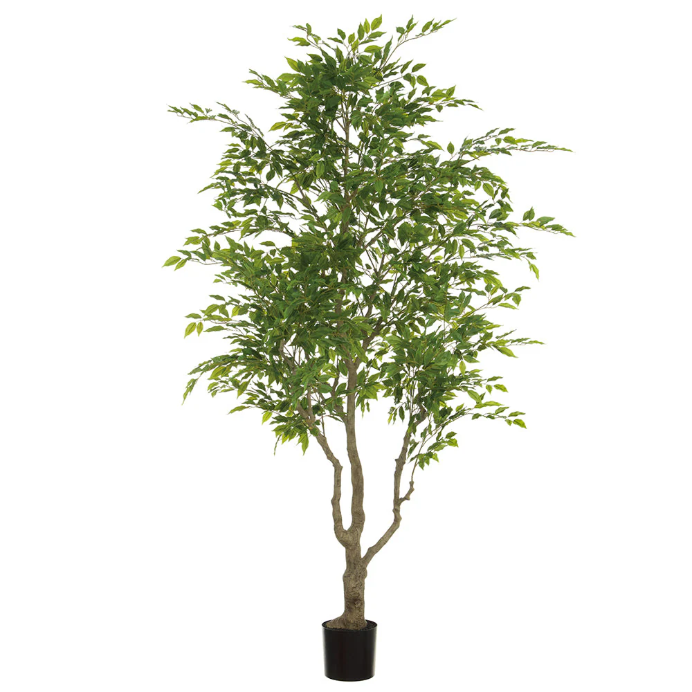 8' Ficus Leaf Silk Tree w/Plastic Pot -Green