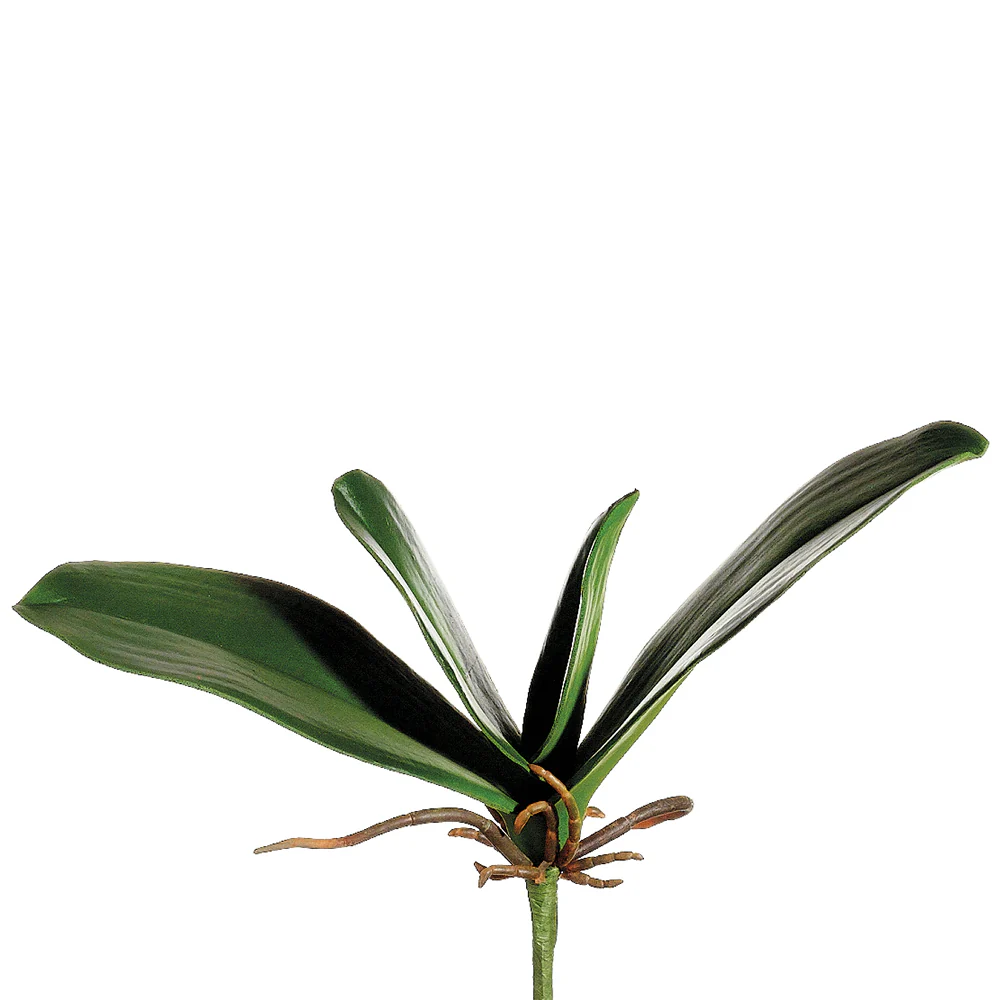 8" Hand-Wrapped Artificial Phalaenopsis Orchid Leaf Plant Stem -Green (Pack of 12)