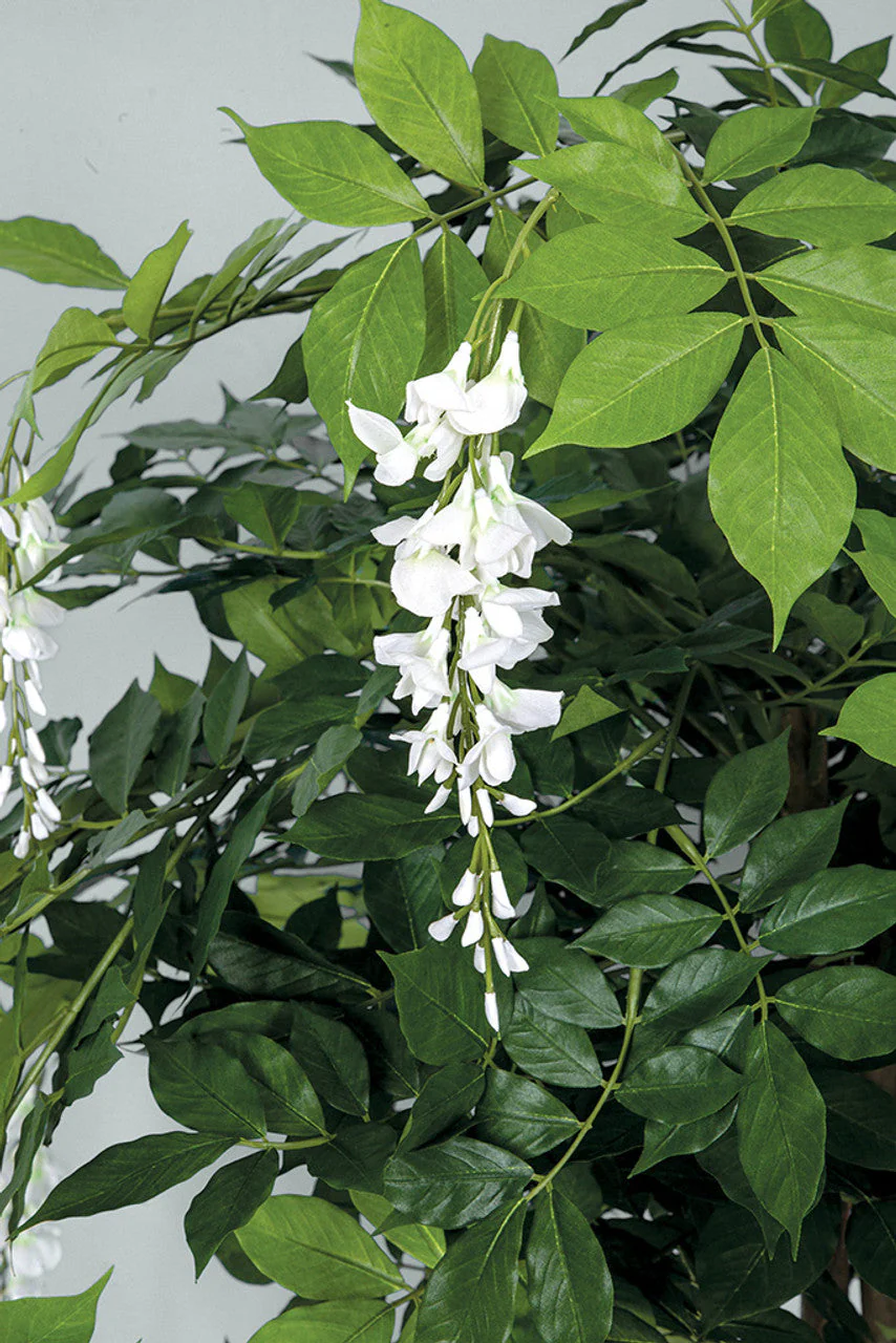 8' Hanging Wisteria Blossom Flower Silk Tree w/Pot -White - Image 2