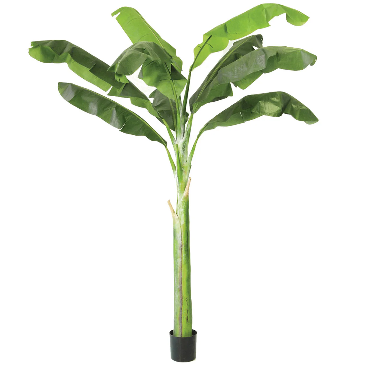 8' IFR Artificial Banana Palm Tree w/Pot -Green