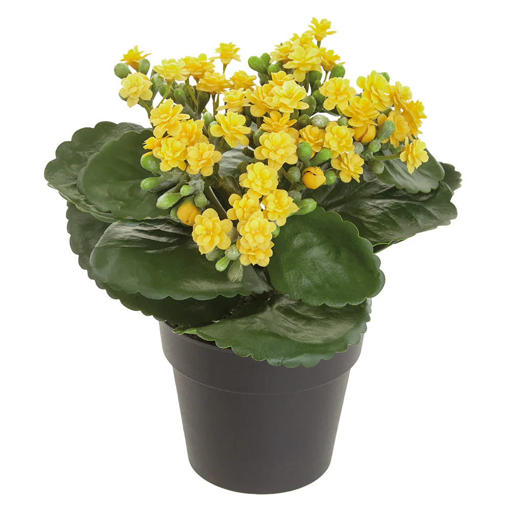 8" Kalanchoe Silk Flower Arrangement w/Plastic Pot -Yellow (Pack of 24)