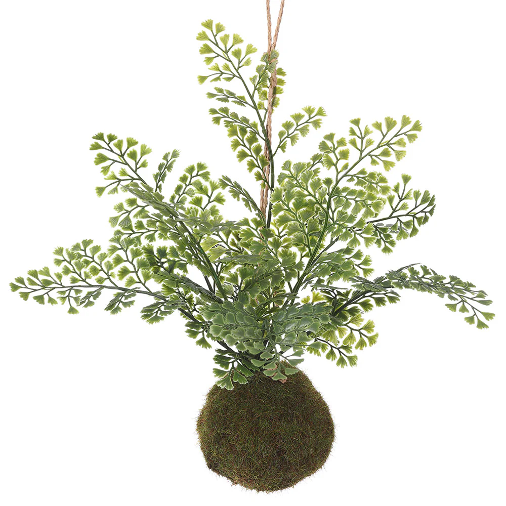 8" Maidenhair Fern Leaf Artificial Wall Plant w/Moss Ball -Green (Pack of 8)