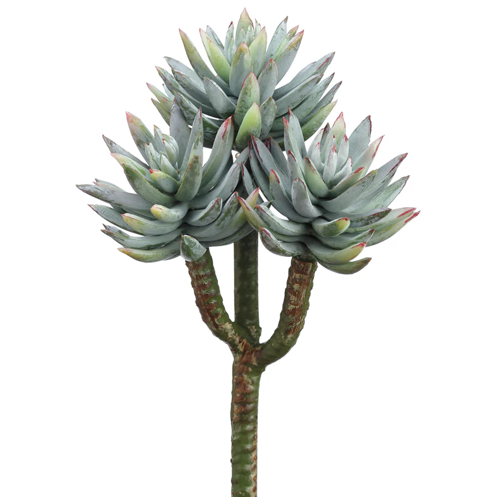 8" Mini Artificial Agave Stem Pick -Green/Frosted (Pack of 12)