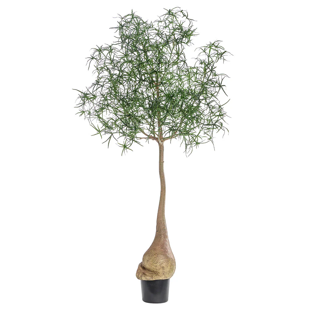 8' PEVA Queensland Bottle Leaf Artificial Tree w/Plastic Pot -Green