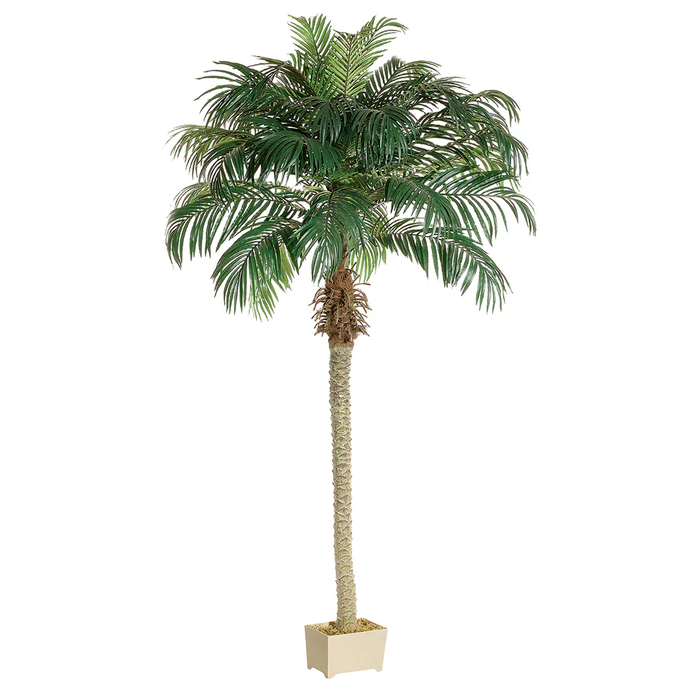 8' Phoenix Silk Palm Tree w/Container -Green