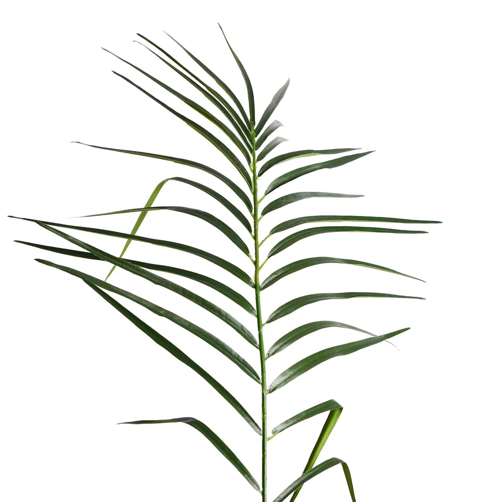8' Phoenix Silk Palm Tree w/Pot -Green - Image 2