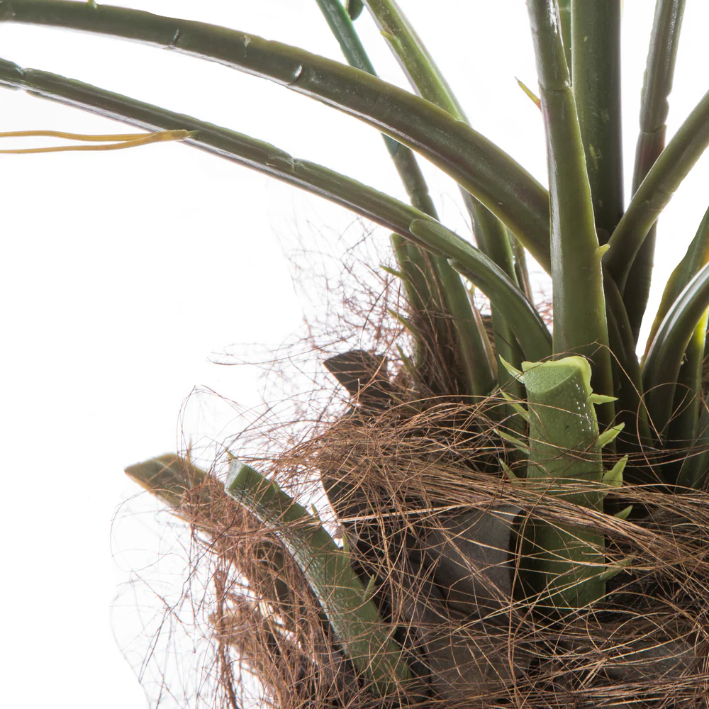 8' Phoenix Silk Palm Tree w/Pot -Green - Image 4
