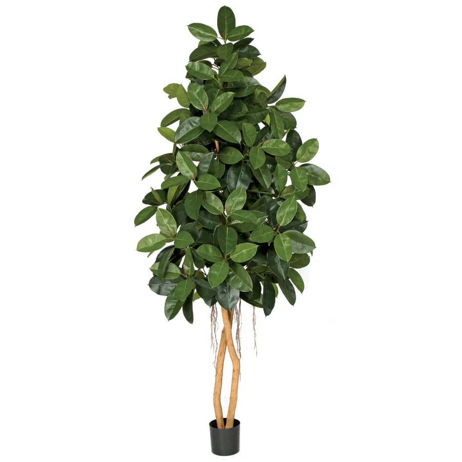 8' Rubber Silk Tree w/Pot -Green