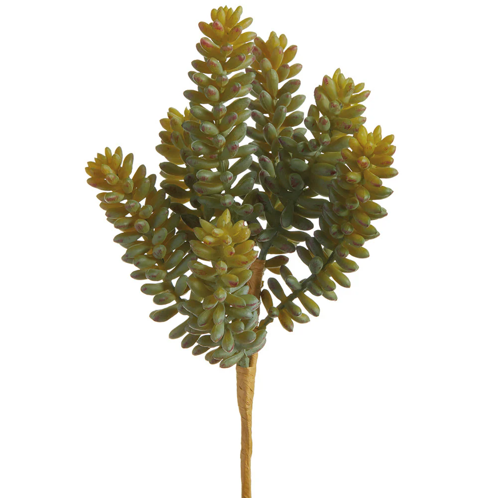 8" Sedum Succulent Artificial Stem Pick -2 Tone Green (Pack of 12)