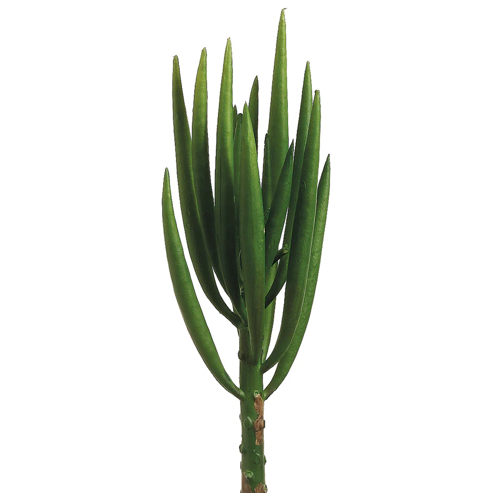 8" Senecio Artificial Stem Pick -Green (Pack of 24)