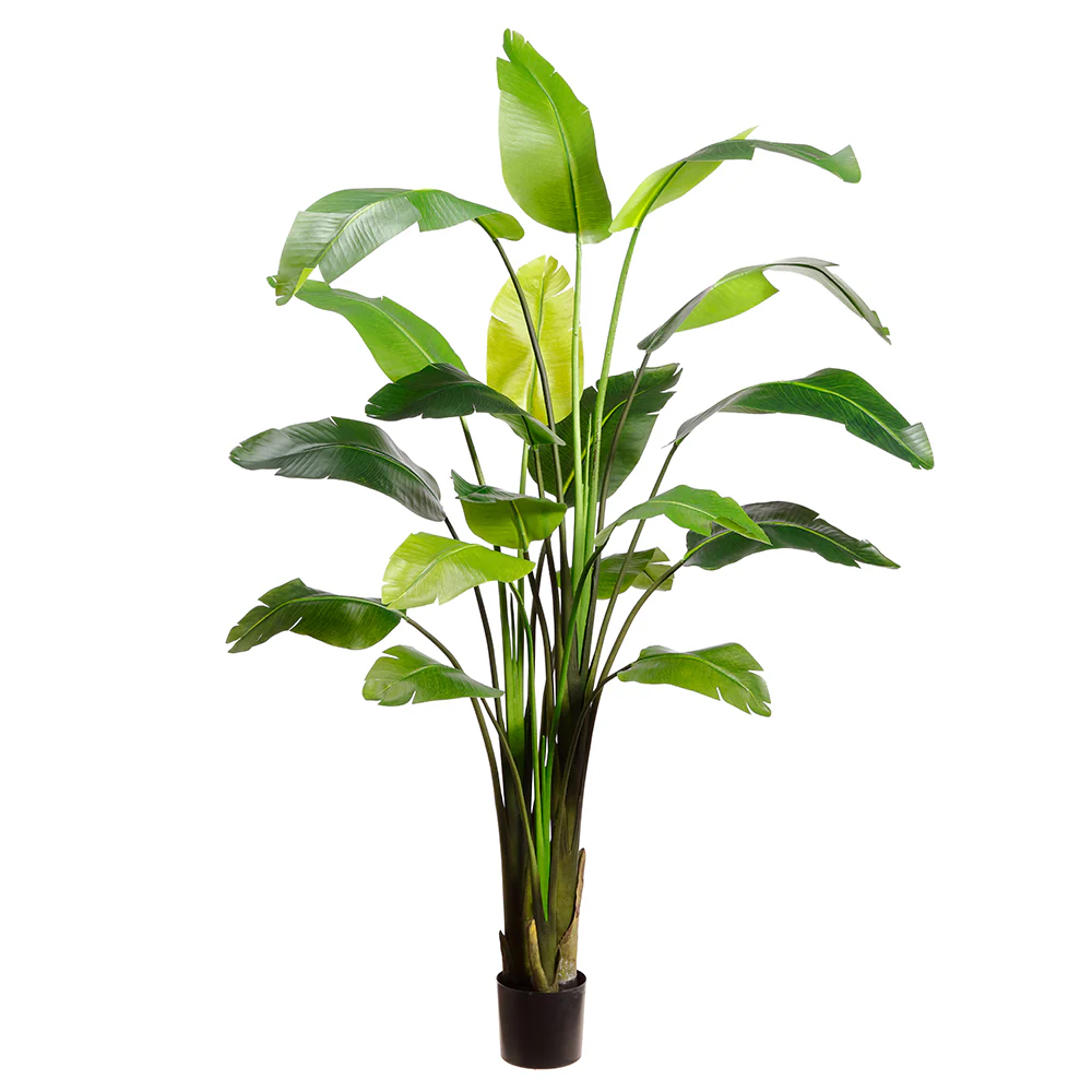 8' Single Trunk Silk Travelers Palm Tree w/Plastic Pot -Green (Pack of 2)