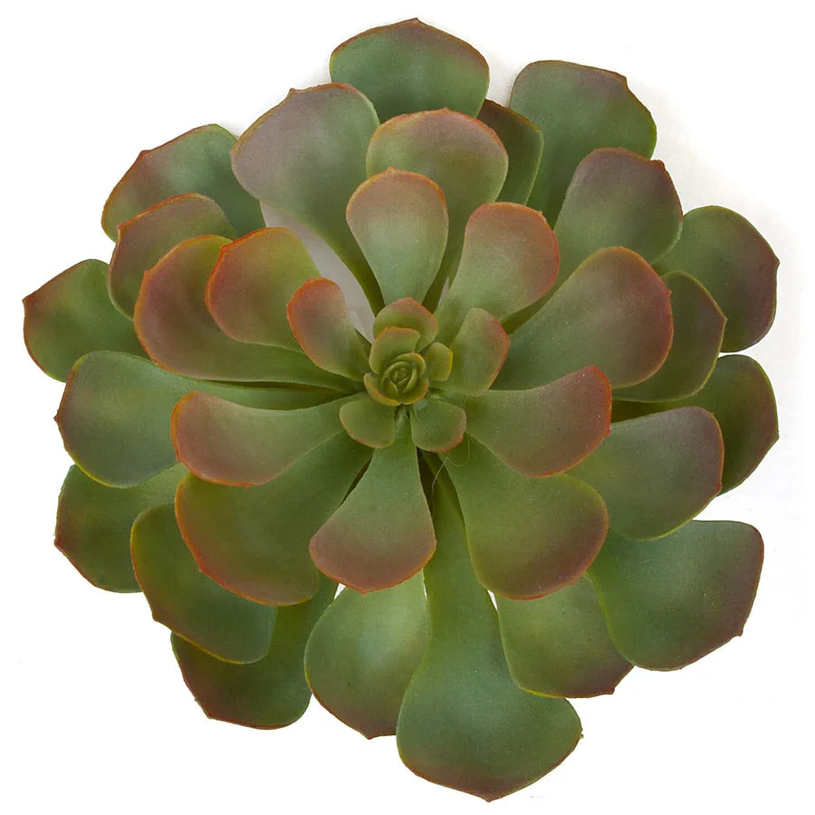 8"HX10"W Artificial Echeveria Stem -Green/Burgundy (Pack of 4)