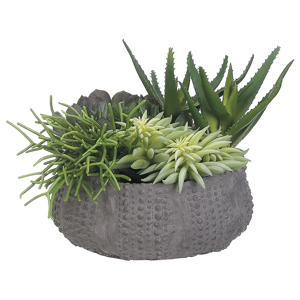 8"Hx12"W Succulent Garden Artificial Plant w/Clay Pot -Green