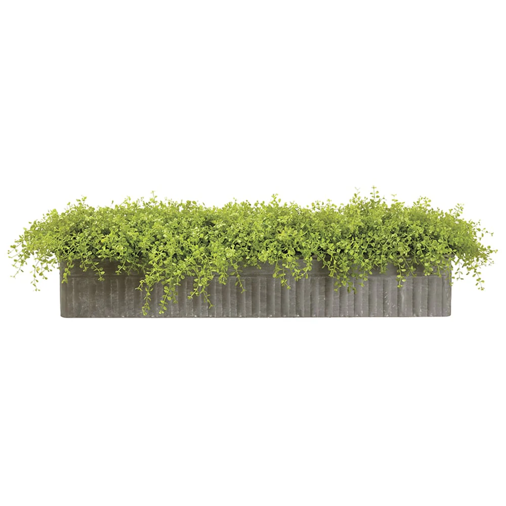 8"Hx40"W Artificial Baby's Tear Fern Plant w/Tin Planter -Green