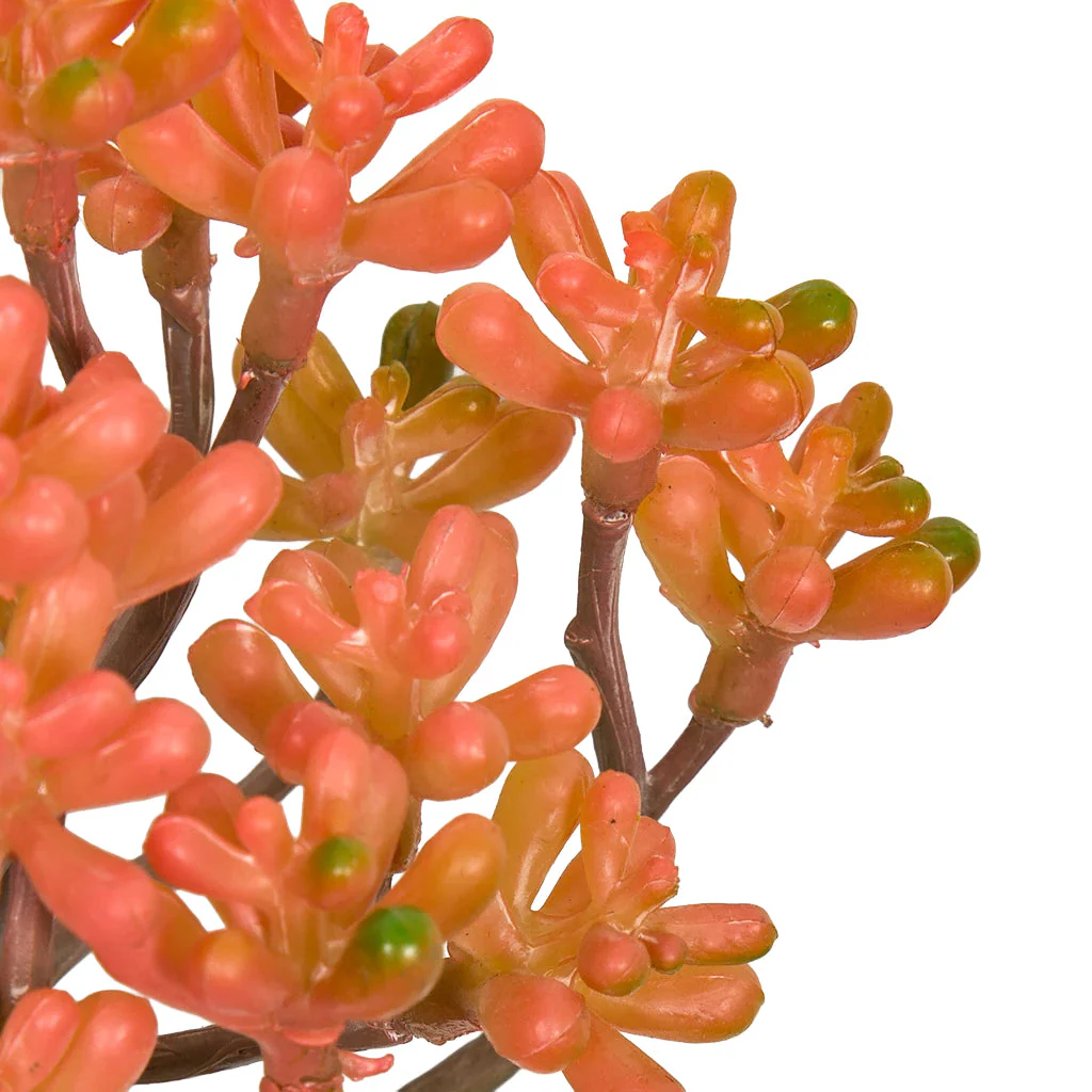 8"HX5"W Artificial Sedum Succulent Stem -Coral/Salmon (Pack of 12) - Image 2