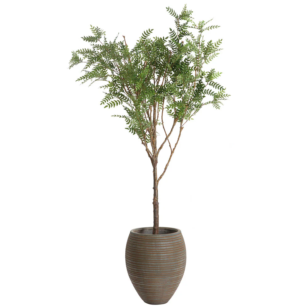 8'Hx60"W Locust Silk Tree w/Fiber Clay Pot -Green