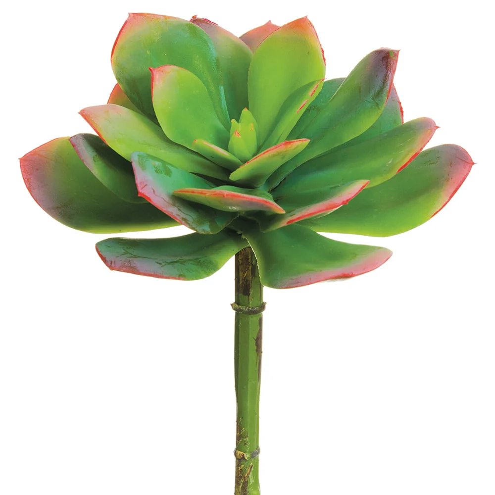 8"Hx6"W Artificial Echeveria Stem Pick -Green/Pink (Pack of 12)