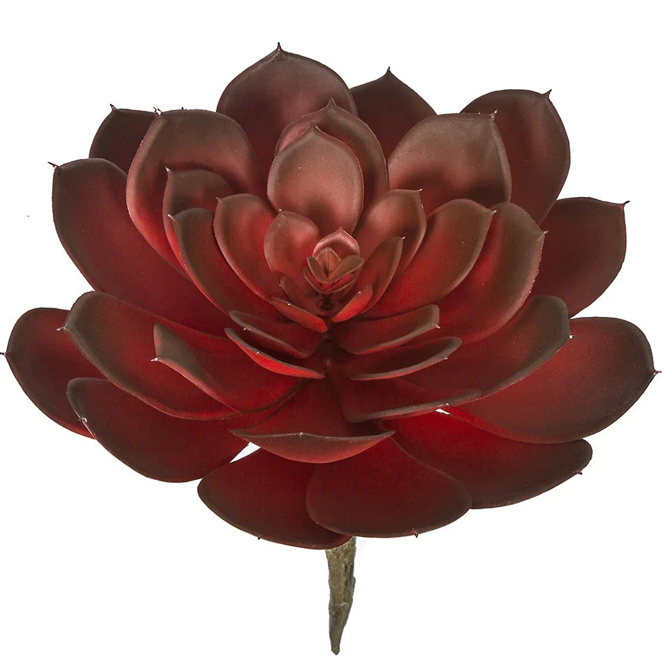 8"HX8.5"W Artificial Echeveria Stem -Red/Burgundy (Pack of 4)
