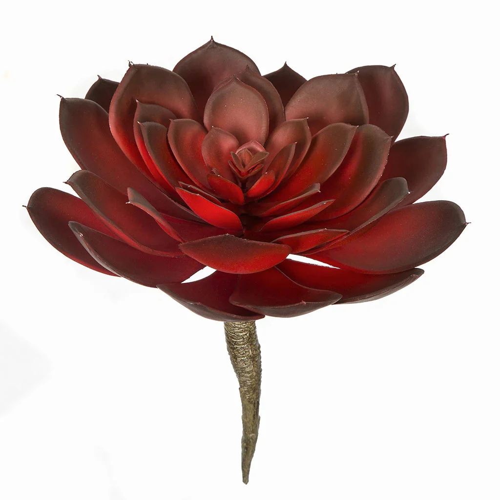 8"HX8.5"W Artificial Echeveria Stem -Red/Burgundy (Pack of 4) - Image 2