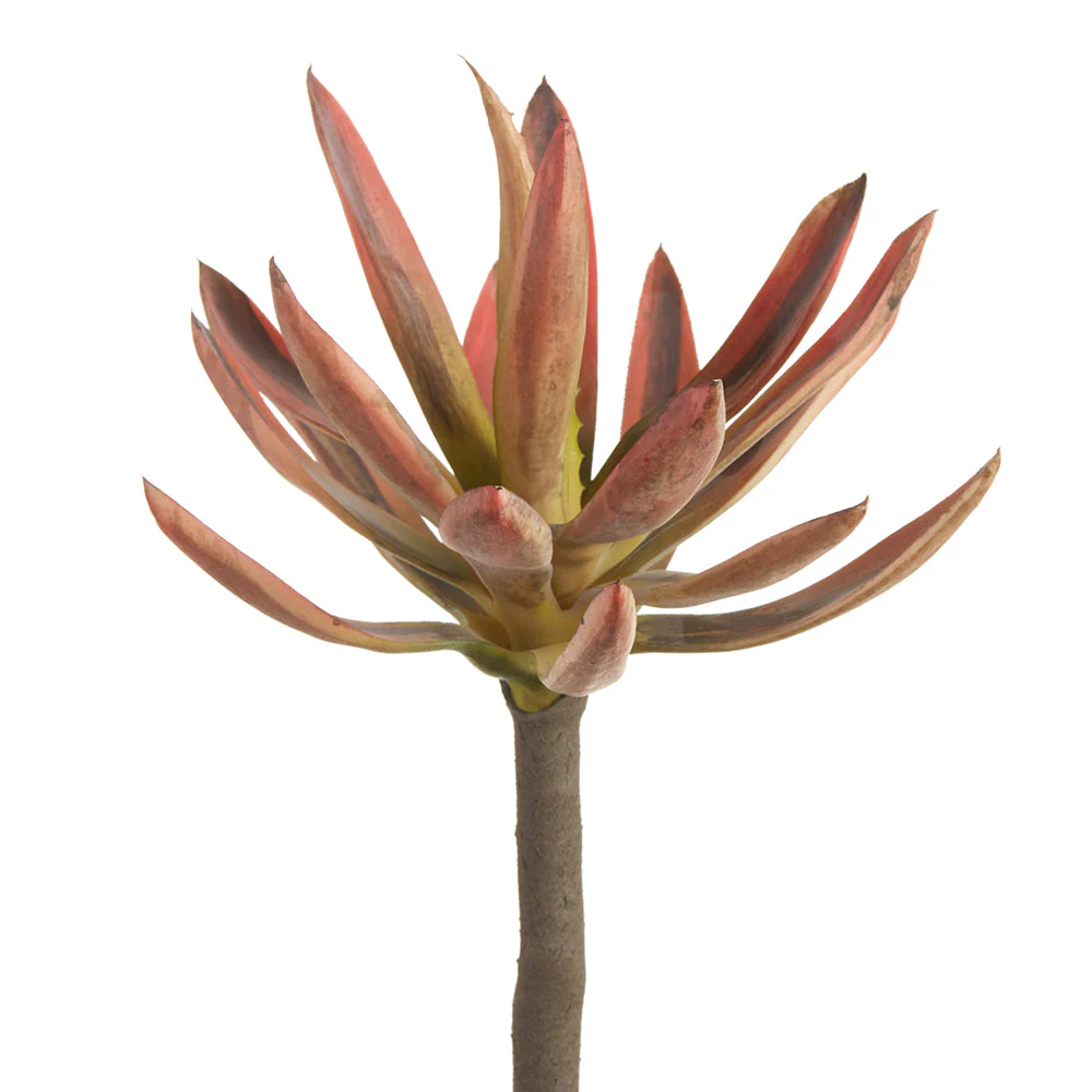 9.5" Agave Cactus Artificial Stem Pick -Coral/Green (Pack of 6)