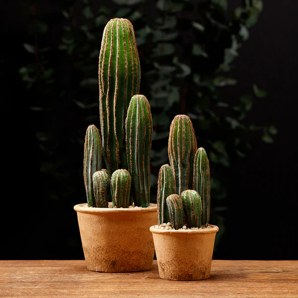 9.5" Artificial Column Cactus Plant w/Papier Mache Pot -Green (Pack of 6) - Image 2