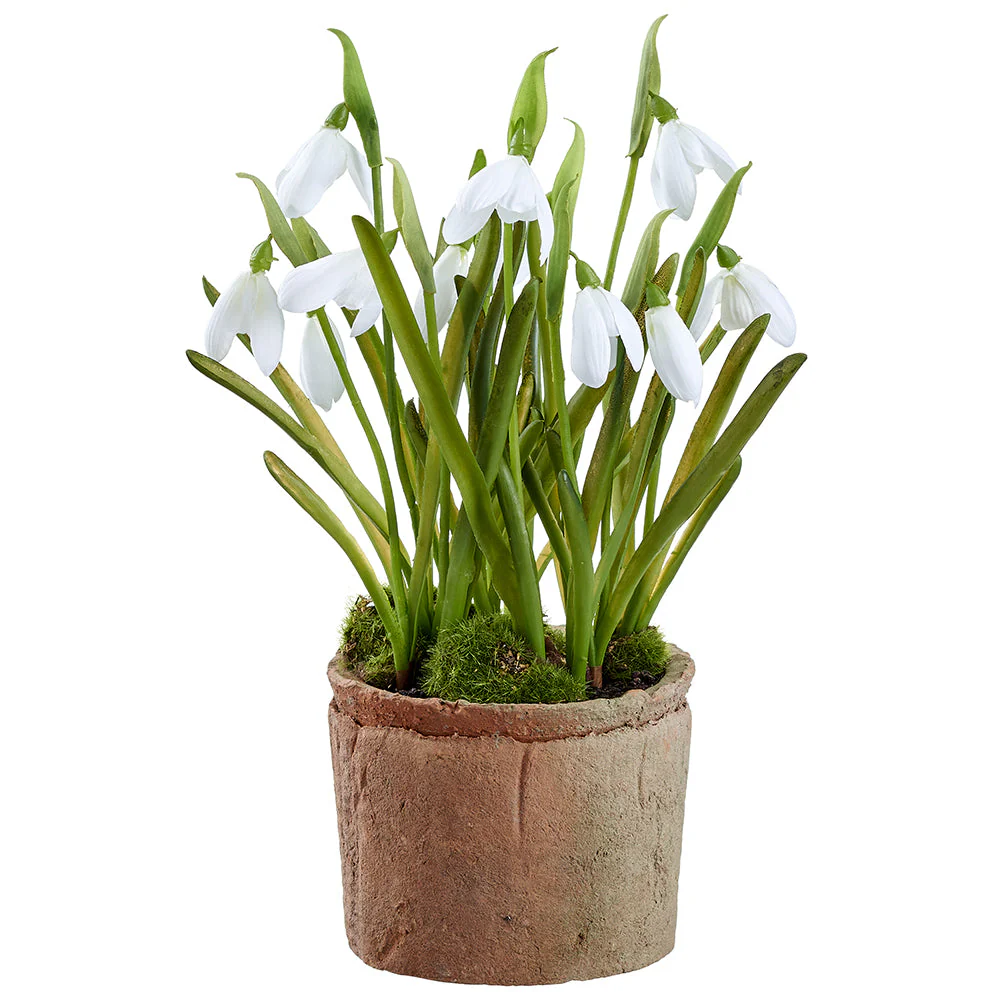 9.5" Snowdrop Silk Flower Arrangement w/Clay Pot -White (Pack of 9)