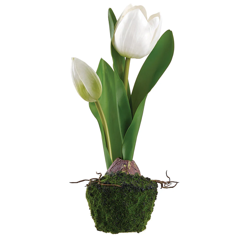 9.5" Tulip Silk Flower Arrangement w/Moss & Soil Ball -White (Pack of 8)
