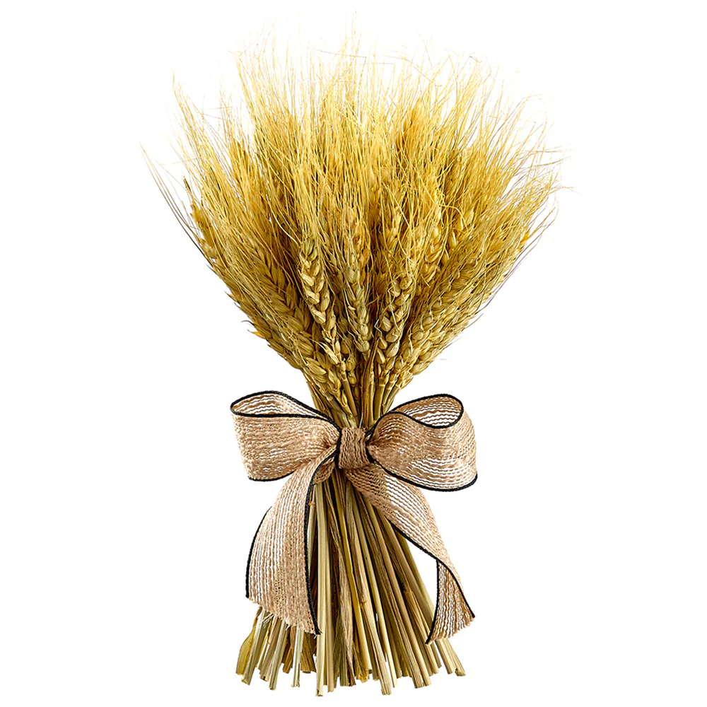 9.8" Preserved Wheat Standing Bouquet Arrangement -Natural (Pack of 12)