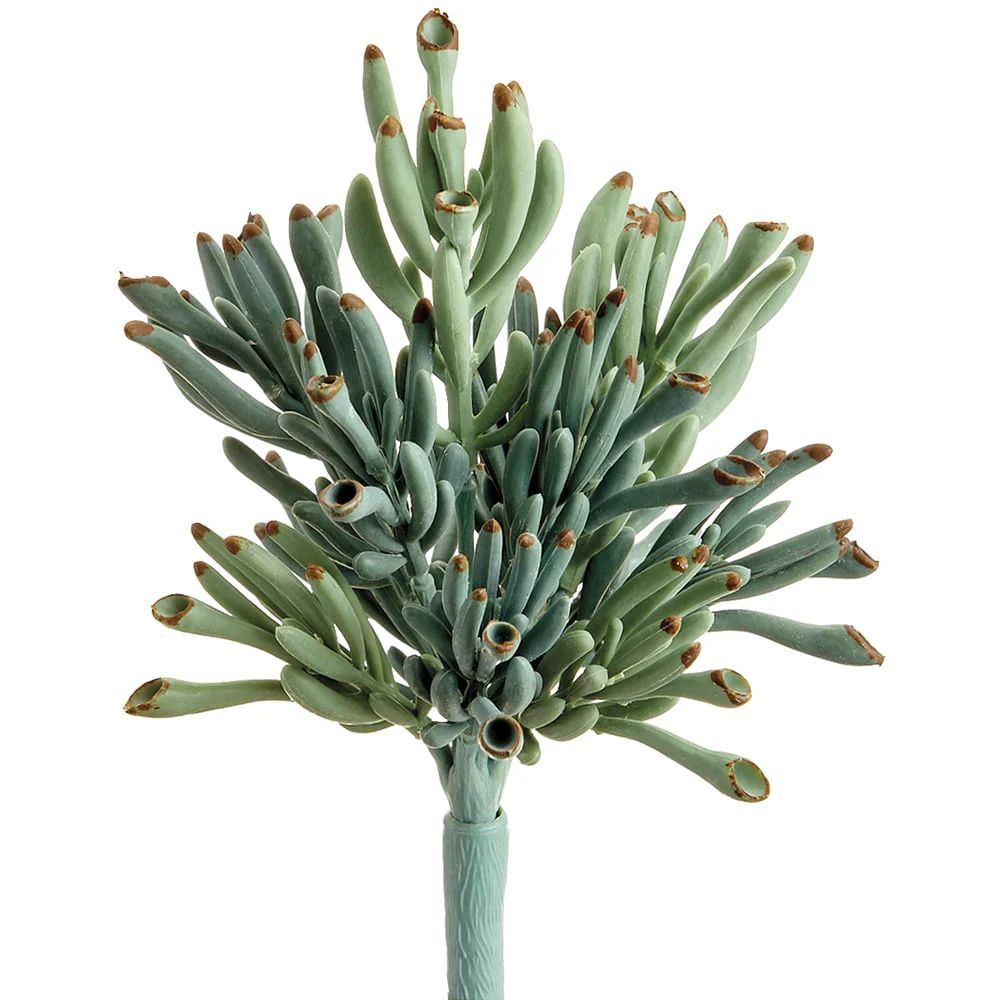 9" Artificial Coral Crassula Succulent Stem Pick -Green/Gray (Pack of 12)
