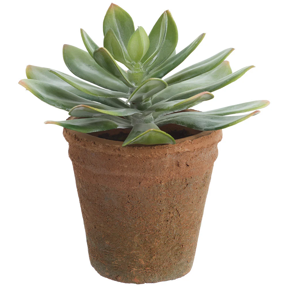 9" Echeveria Succulent Artificial Plant w/Clay Pot -Green/Gray (Pack of 4)