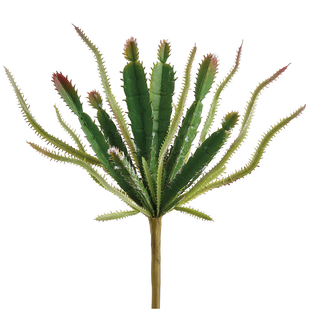 9" Outdoor UV-Resistant Artificial Cactus Stem Pick -Green/Brown (Pack of 24)