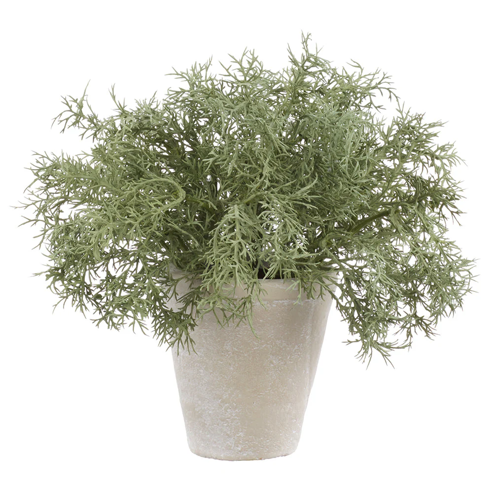 9" PE Sprengeri Fern Artificial Plant w/Cement Pot -Green/Gray (Pack of 4)