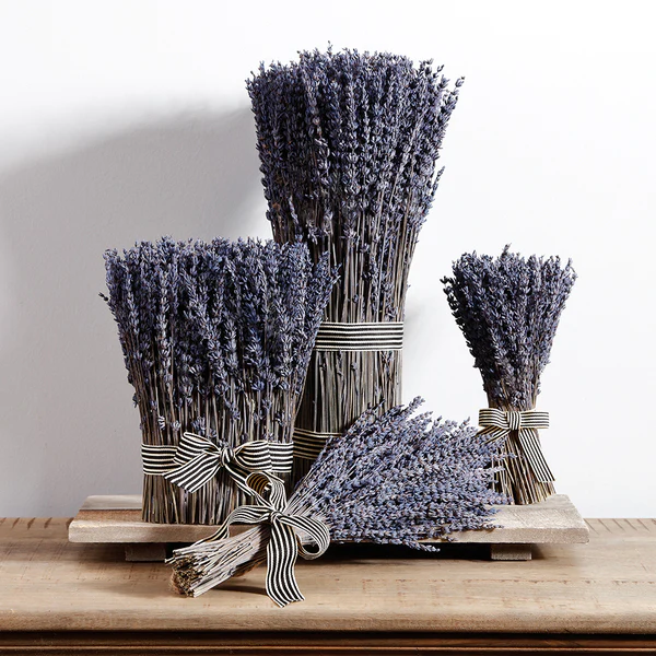 9" Preserved Lavender Flower Standing Arrangement Bundle -Lavender (Pack of 2) - Image 2