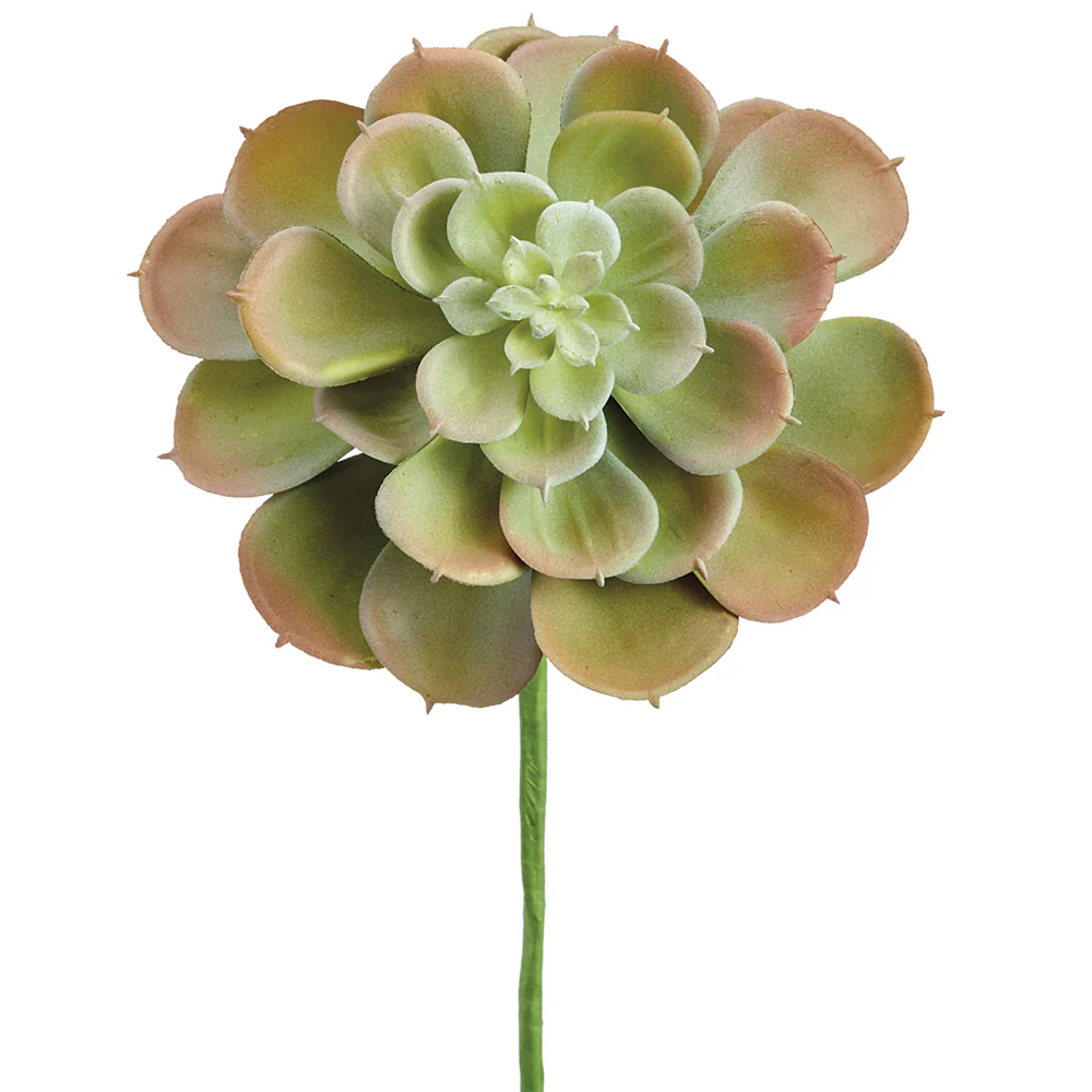 9" Real Touch Artificial Echeveria Stem Pick -Green/Burgundy (Pack of 12)