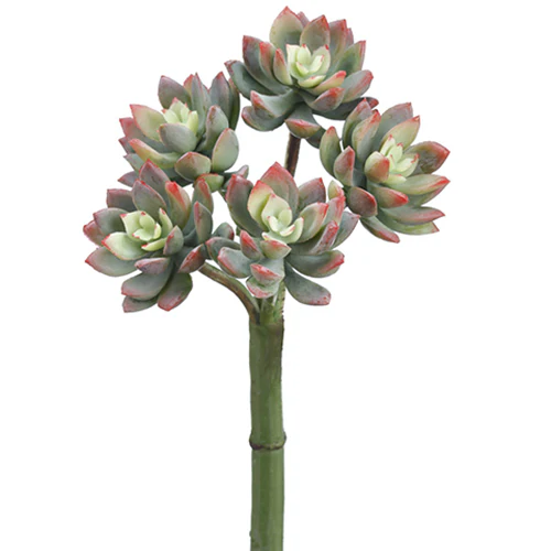 9" Real Touch Mini Artificial Echeveria Stem Pick -Green/Red (Pack of 12)