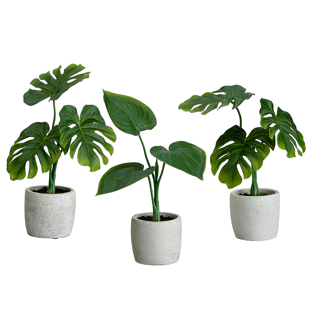9" Set Of 3 Assorted Silk Philodendron Plants w/Cement Pots -Green (Pack of 2)