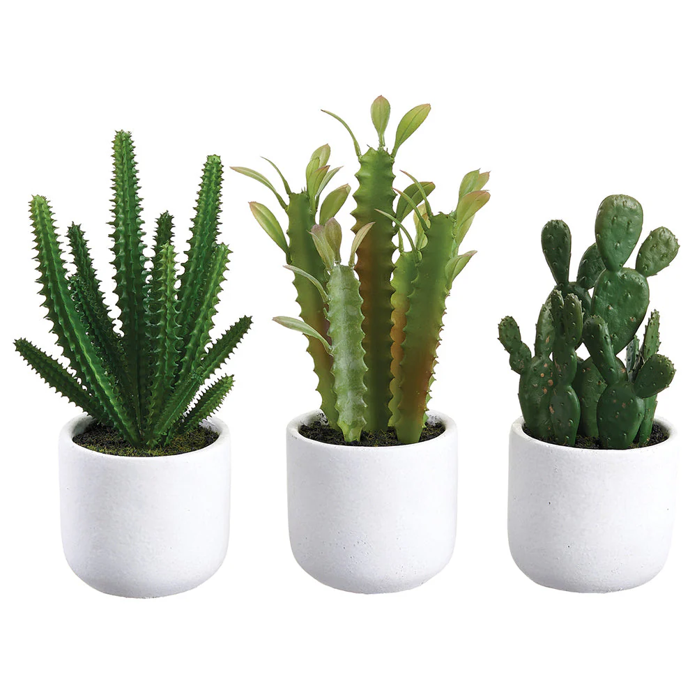 9" Set Of Assorted Cactus Artificial Plants w/Cement Pot -Green (Pack of 2)