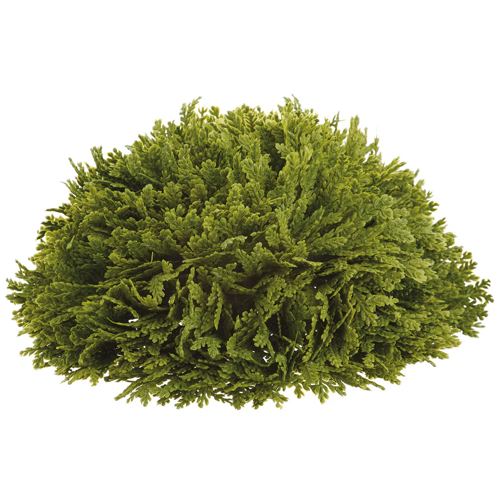 Ornamental Loose Topiary