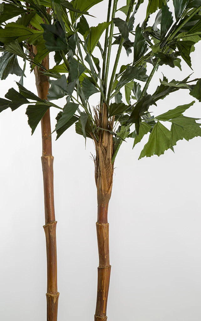 9'6" Silk Fishtail Double Trunk Palm Tree w/Pot -2 Tone Green - Image 2