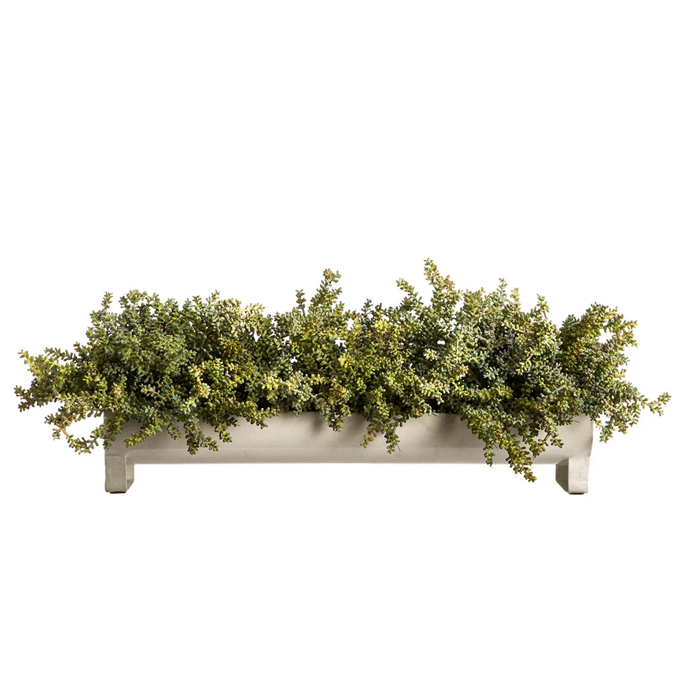 9"Hx25"W Artificial Sedum Plant w/Planter -Green